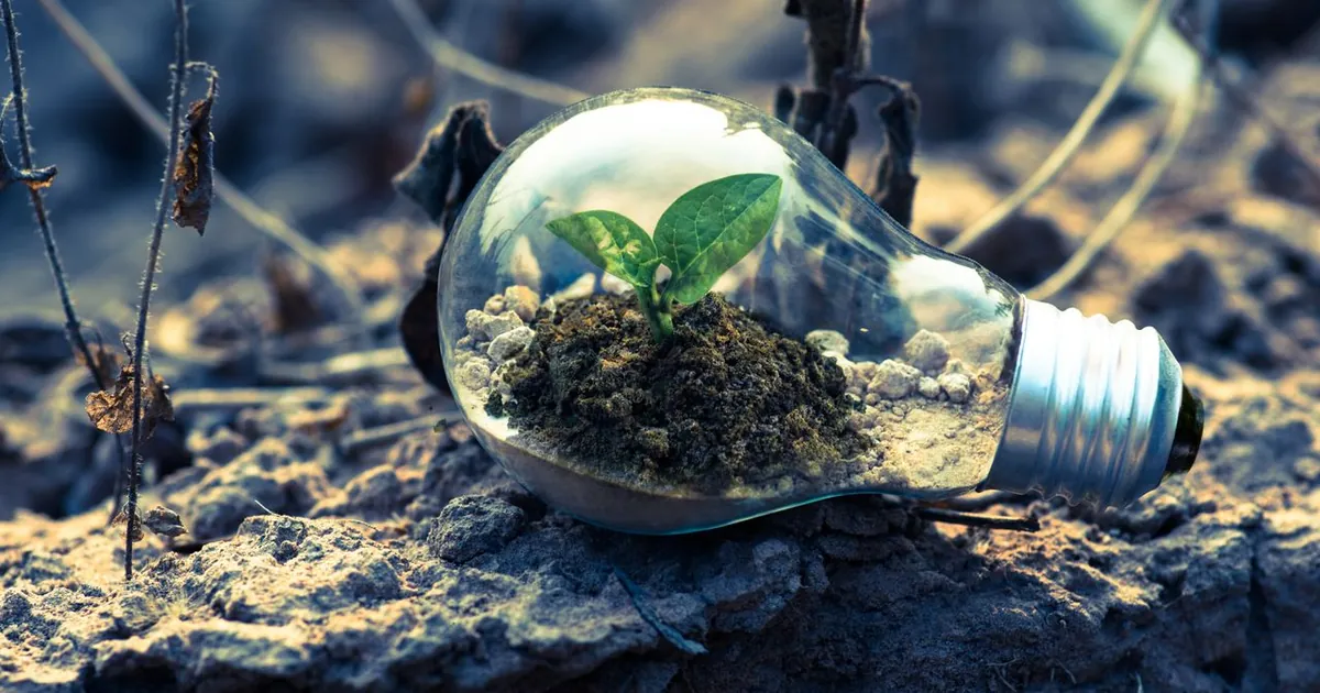 Manos sosteniendo una planta — créditos verdes y vivienda sostenible Colombia 2026